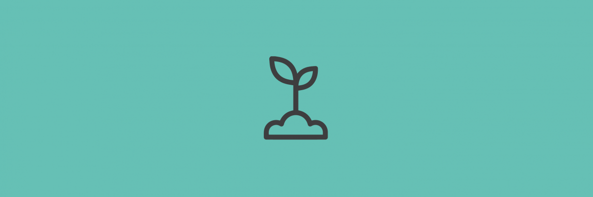 Seed Round